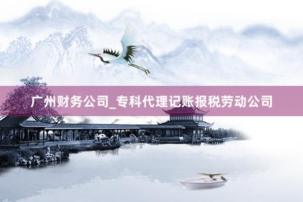 广州财务公司_专科代理记账报税劳动公司