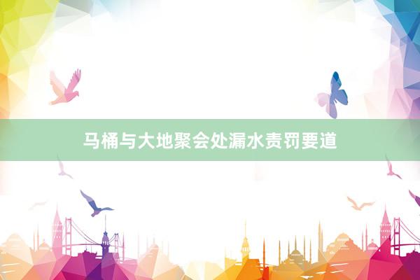 马桶与大地聚会处漏水责罚要道