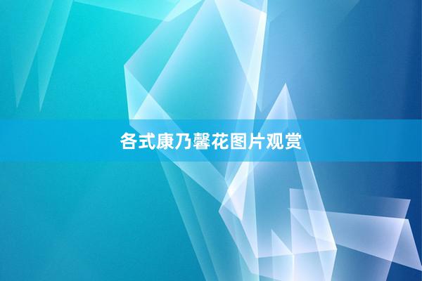 各式康乃馨花图片观赏