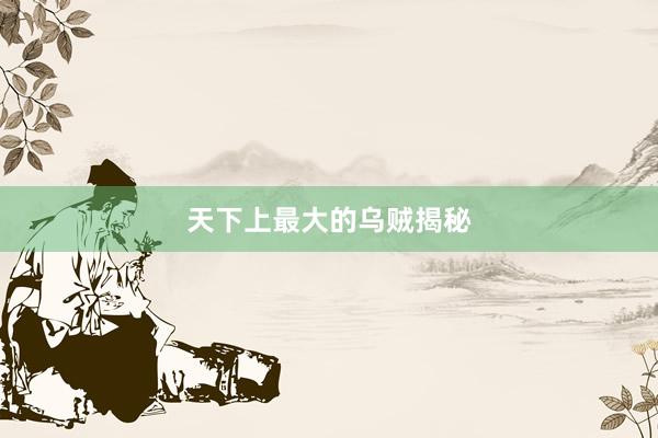 天下上最大的乌贼揭秘