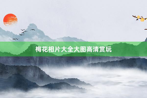 梅花相片大全大图高清赏玩